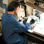 LocosLab Becomes Europe’s First Authorised Wi-SUN FAN Test Lab