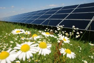 solar target, renewable, solar energy, Kerala, India