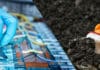 Green Manganese Tests Single-Process Recovery Of Critical Metals For Electronics Image for representation purpose